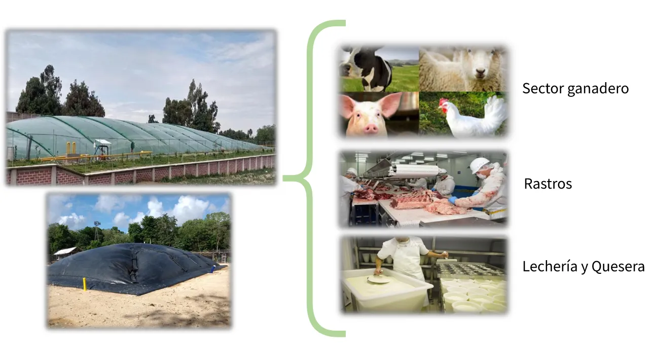 proyectos-modelos-biodigestores-kwt-plantasresiduales.webp